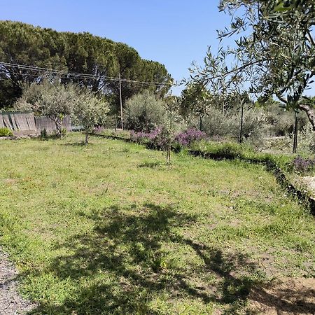 Villa Egle Belpasso, Villa Vacanza Con Piscina Exteriér fotografie